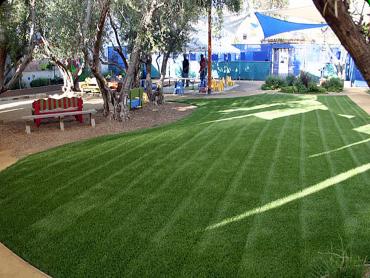 Artificial Grass Photos: Synthetic Turf Supplier Hayesville, Oregon Backyard Playground, Commercial Landscape