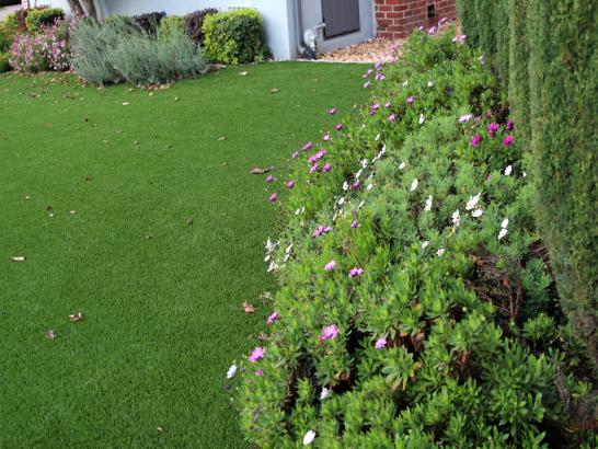 Artificial Grass Photos: Synthetic Turf Supplier Labish Village, Oregon Rooftop, Front Yard Landscaping