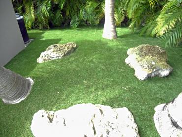 Artificial Grass Photos: Synthetic Turf Supplier North Plains, Oregon Landscape Design, Backyard Landscape Ideas