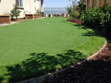 Artificial Grass Photos: Synthetic Turf Supplier Rose Lodge, Oregon Landscaping, Backyard Garden Ideas