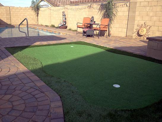 Artificial Grass Photos: Synthetic Turf Supplier Turner, Oregon Landscape Ideas, Backyard Landscaping Ideas