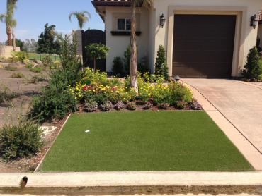 Artificial Grass Photos: Synthetic Turf Supplier West Haven-Sylvan, Oregon Landscape Photos, Front Yard Landscape Ideas