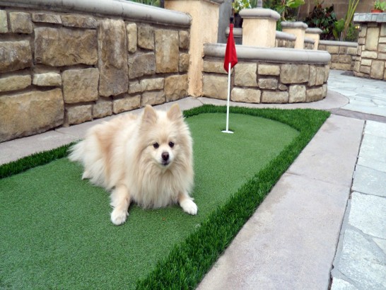 Artificial Grass Photos: Synthetic Turf Wamic, Oregon How To Build A Putting Green, Backyard Garden Ideas