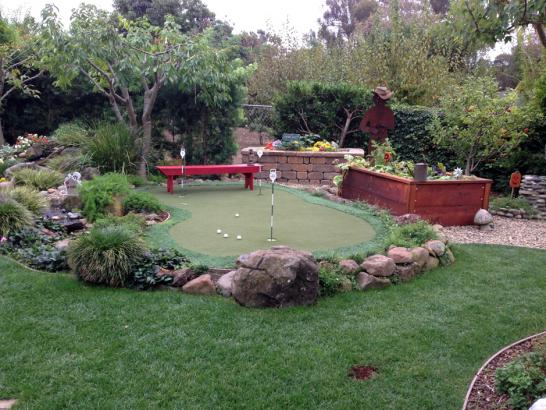 Artificial Grass Photos: Synthetic Turf Westfir, Oregon Backyard Putting Green, Backyard Landscaping Ideas