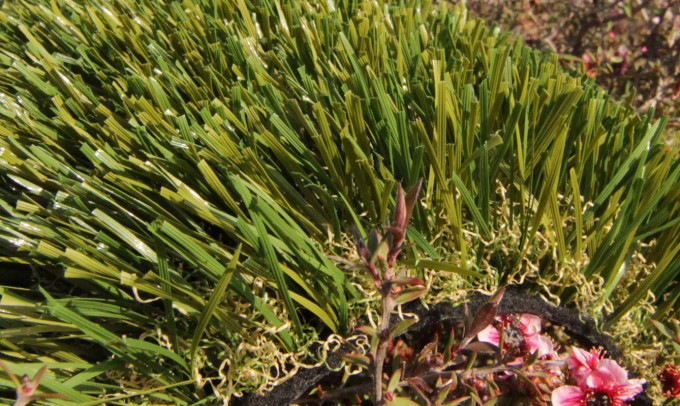 Double S-61 syntheticgrass Artificial Grass Portland Oregon