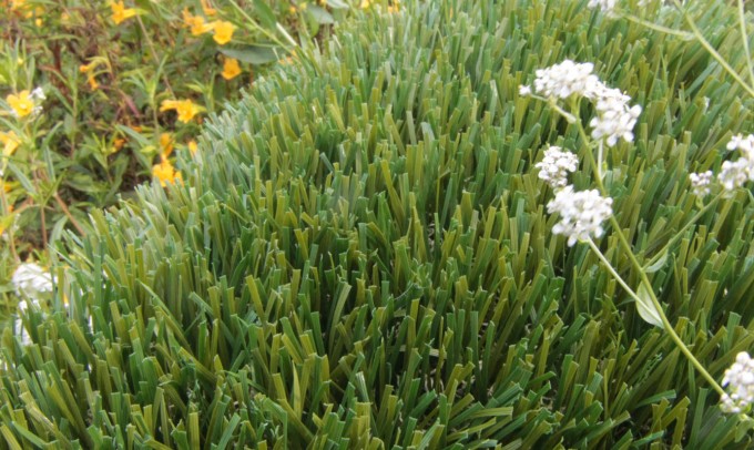Double S-61 syntheticgrass Artificial Grass Portland Oregon
