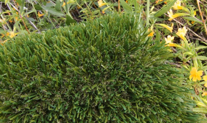 Double S-72 syntheticgrass Artificial Grass Portland Oregon