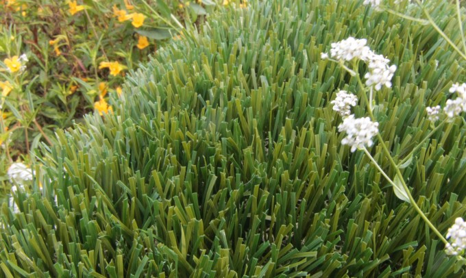 Double S-72 syntheticgrass Artificial Grass Portland Oregon