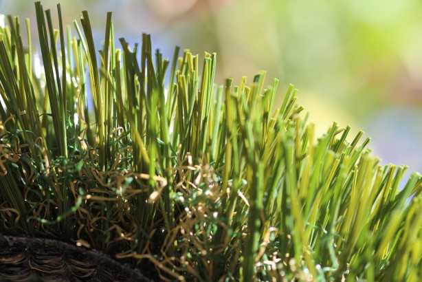 Synthetic Grass Rug