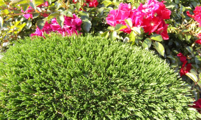 Hollow Blade-73 syntheticgrass Artificial Grass Portland Oregon