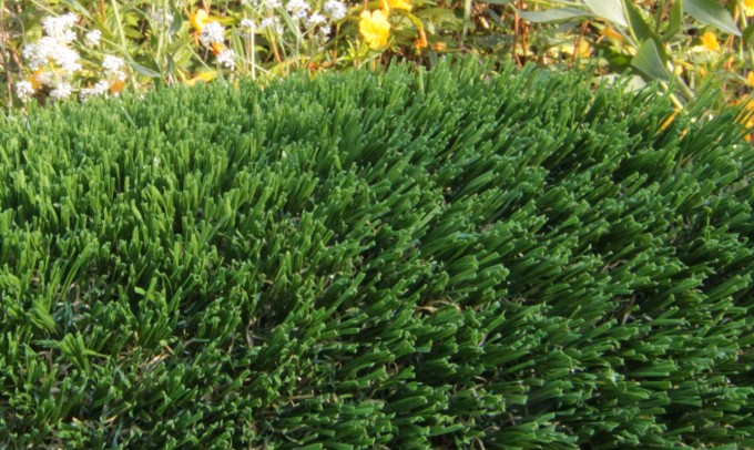 Hollow Blade-73 syntheticgrass Artificial Grass Portland Oregon