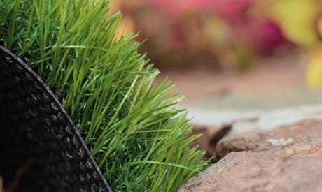 Turf Grass For Playgrounds