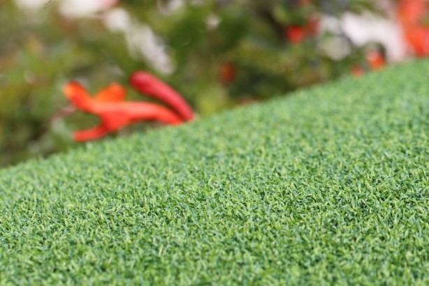 Putting Green Turf