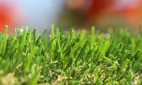 Artificial Grass Lawn