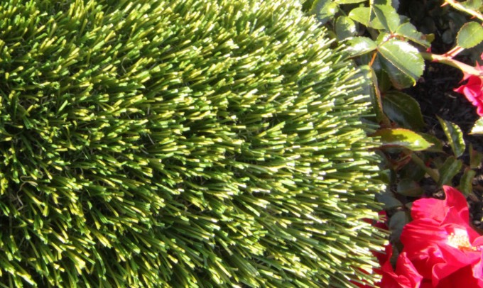 V Blade-64 syntheticgrass Artificial Grass Portland Oregon