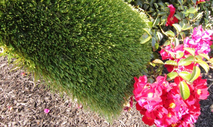 V Blade-64 syntheticgrass Artificial Grass Portland Oregon