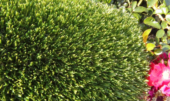 V Blade-77 syntheticgrass Artificial Grass Portland Oregon