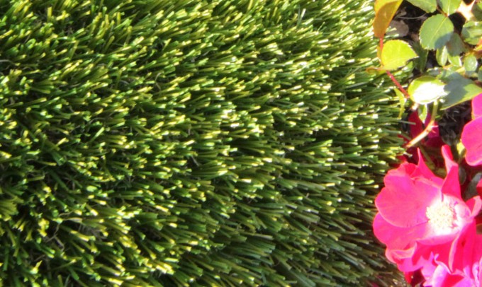 V Blade-77 syntheticgrass Artificial Grass Portland Oregon