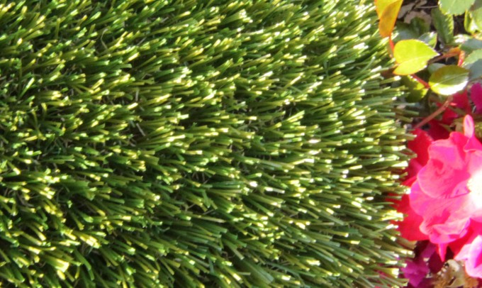 V Blade-77 syntheticgrass Artificial Grass Portland Oregon