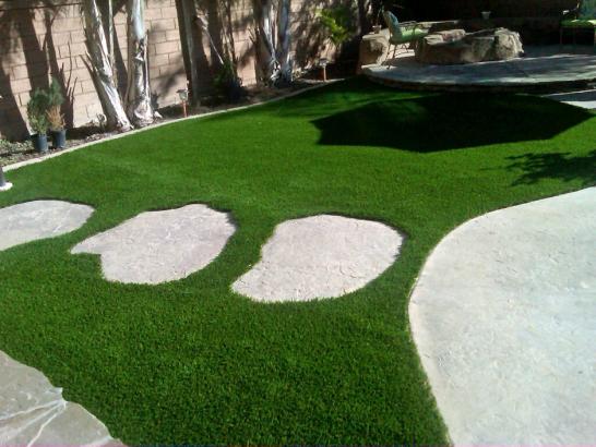 Artificial Grass Photos: Turf Grass Butteville, Oregon Garden Ideas, Backyard Ideas