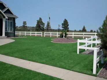 Artificial Grass Photos: Turf Grass Cedar Hills, Oregon Landscape Design, Backyard Ideas