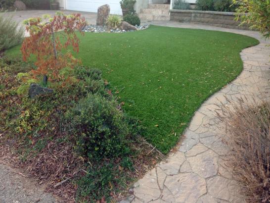 Artificial Grass Photos: Turf Grass Damascus, Oregon Landscape Design, Backyard Design