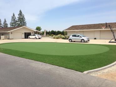 Artificial Grass Photos: Turf Grass Depoe Bay, Oregon Best Indoor Putting Green, Front Yard Landscape Ideas