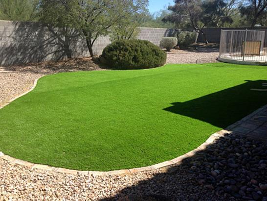 Artificial Grass Photos: Turf Grass Drain, Oregon Landscaping Business, Small Backyard Ideas