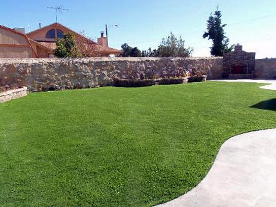 Artificial Grass Photos: Turf Grass Forest Grove, Oregon Landscape Rock, Backyard Landscaping