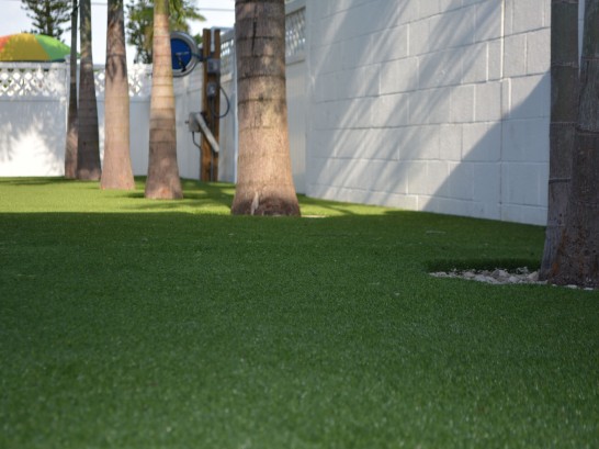 Artificial Grass Photos: Turf Grass Lowell, Oregon Garden Ideas, Commercial Landscape