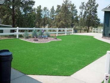 Artificial Grass Photos: Turf Grass Molalla, Oregon Landscape Photos, Front Yard Landscape Ideas