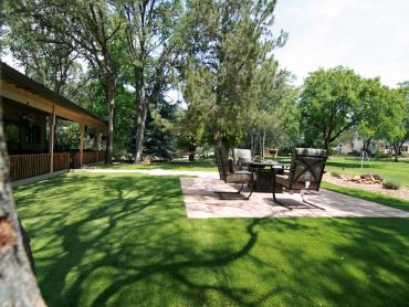 Artificial Grass Photos: Turf Grass Mount Angel, Oregon Rooftop, Backyard Makeover