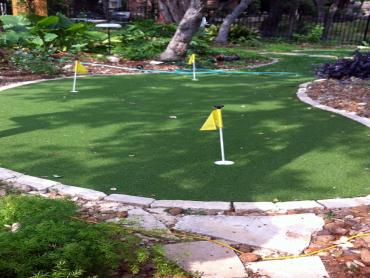 Artificial Grass Photos: Turf Grass Parkdale, Oregon Landscape Ideas, Beautiful Backyards