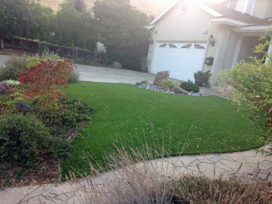 Artificial Grass Photos: Turf Grass Pendleton, Oregon Rooftop, Front Yard Landscaping Ideas