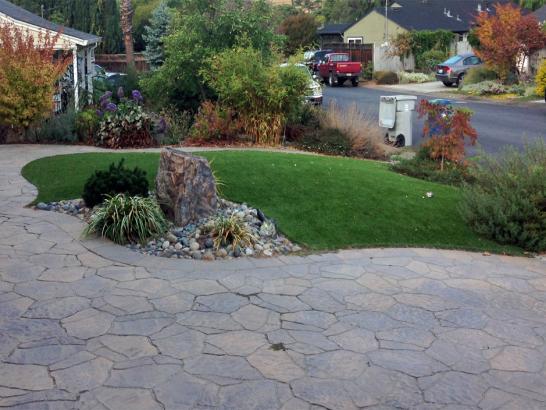 Artificial Grass Photos: Turf Grass Roseburg North, Oregon Rooftop, Front Yard