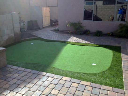 Artificial Grass Photos: Turf Grass Saint Helens, Oregon Office Putting Green, Backyard Ideas