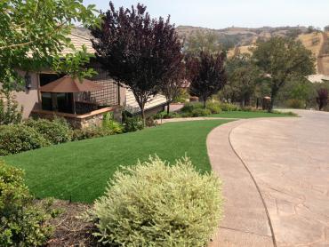 Artificial Grass Photos: Turf Grass Siletz, Oregon Landscaping Business, Landscaping Ideas For Front Yard