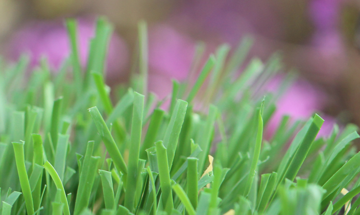 Artificial Grass Emerald-52 Artificial Grass Portland Oregon