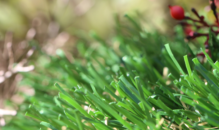 Artificial Grass Emerald-70 Artificial Grass Portland Oregon