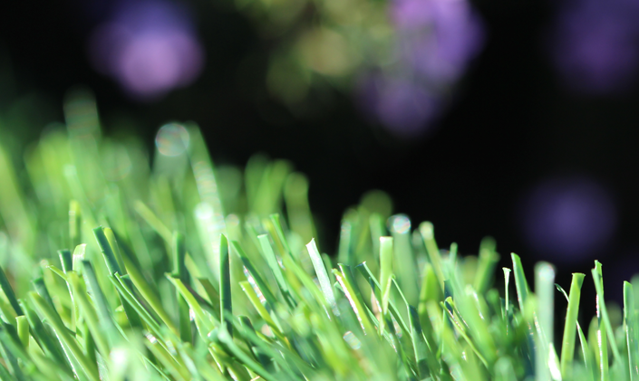 Artificial Grass Evergreen-54 Natural Artificial Grass Portland Oregon