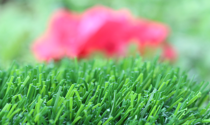 Artificial Grass Evergreen-80 Artificial Grass Portland Oregon