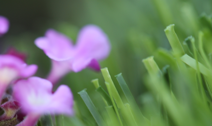 Artificial Grass Mt. Sierra Super 94 Artificial Grass Portland Oregon