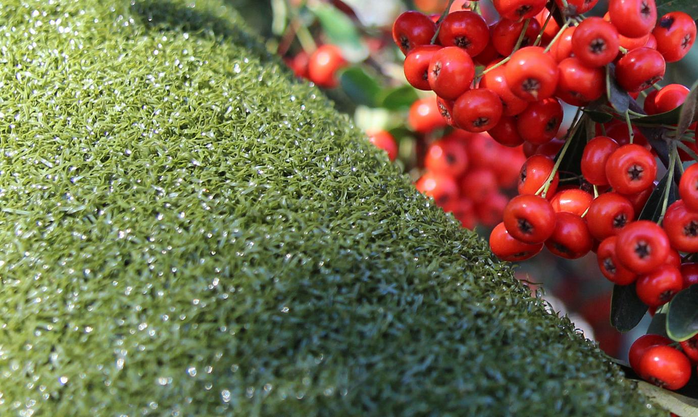 Artificial Grass Putting Green Synthetic