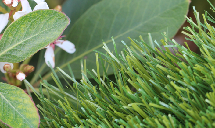 Artificial Grass Olive-60 Artificial Grass Portland Oregon