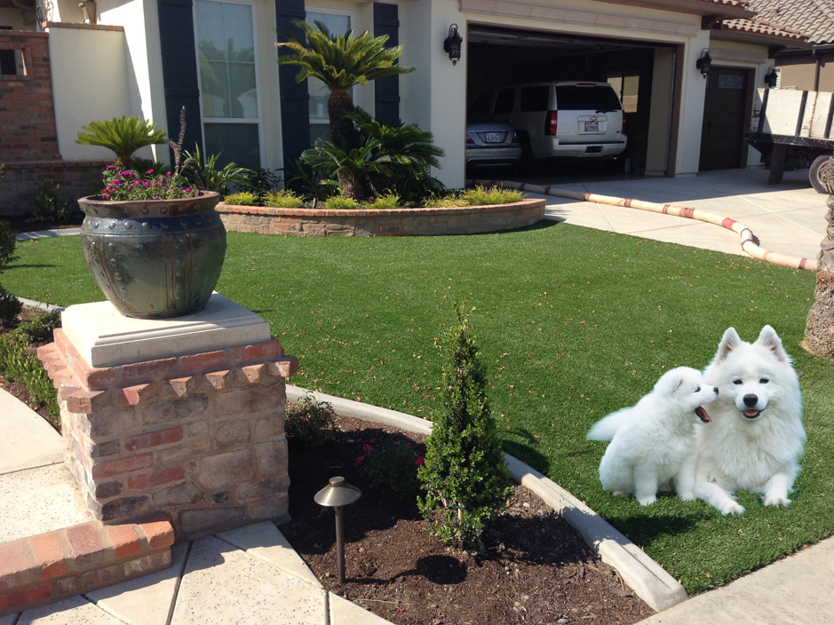 Artificial Grass Artificial Grass For Dogs