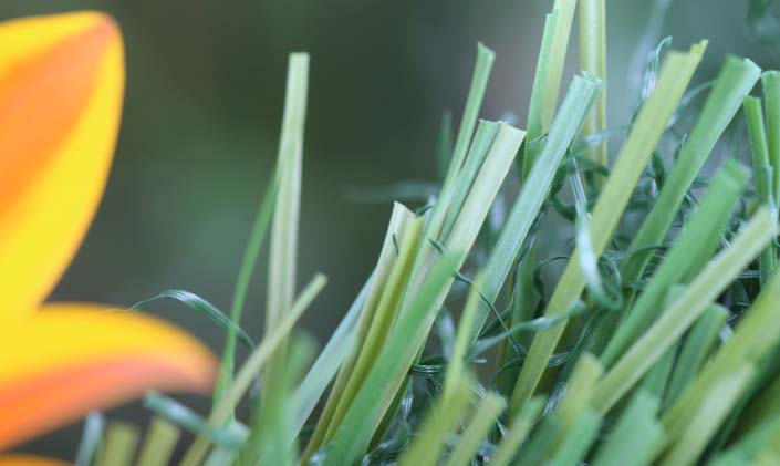 Artificial Grass S Blade-90 Green on Green Artificial Grass Portland Oregon