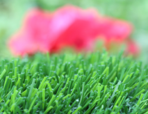 Artificial Turf For Child Care Centers